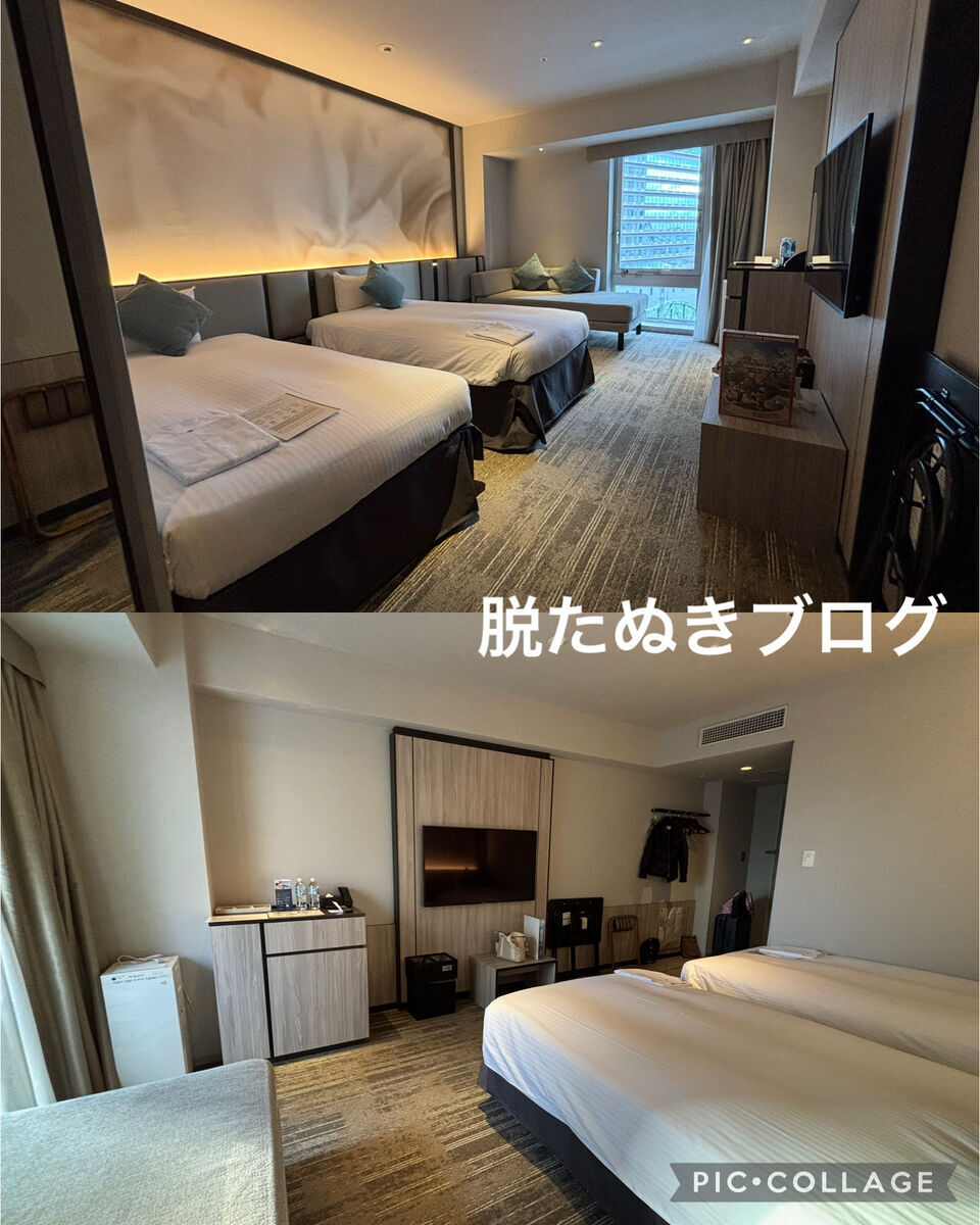 広々とした部屋 モデレートツインルーム