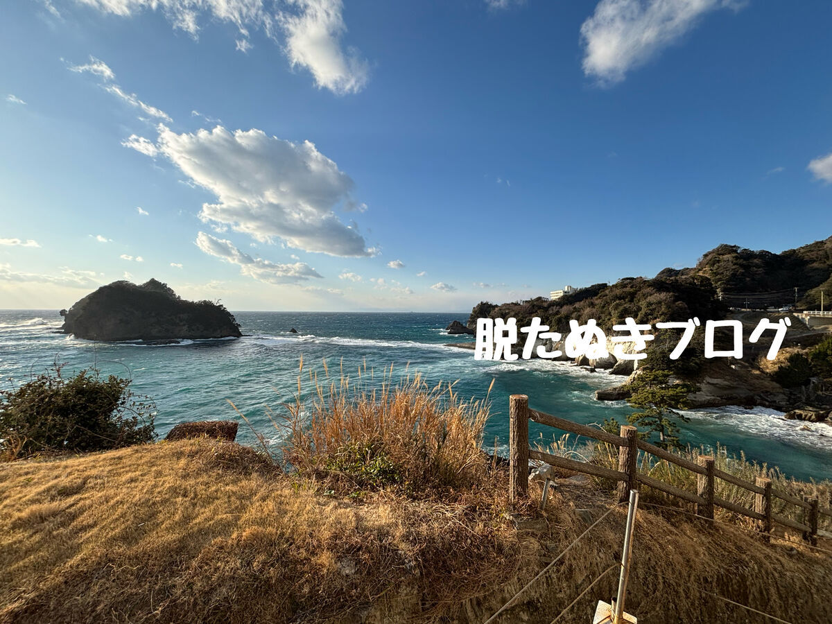 全室オーシャンビュー