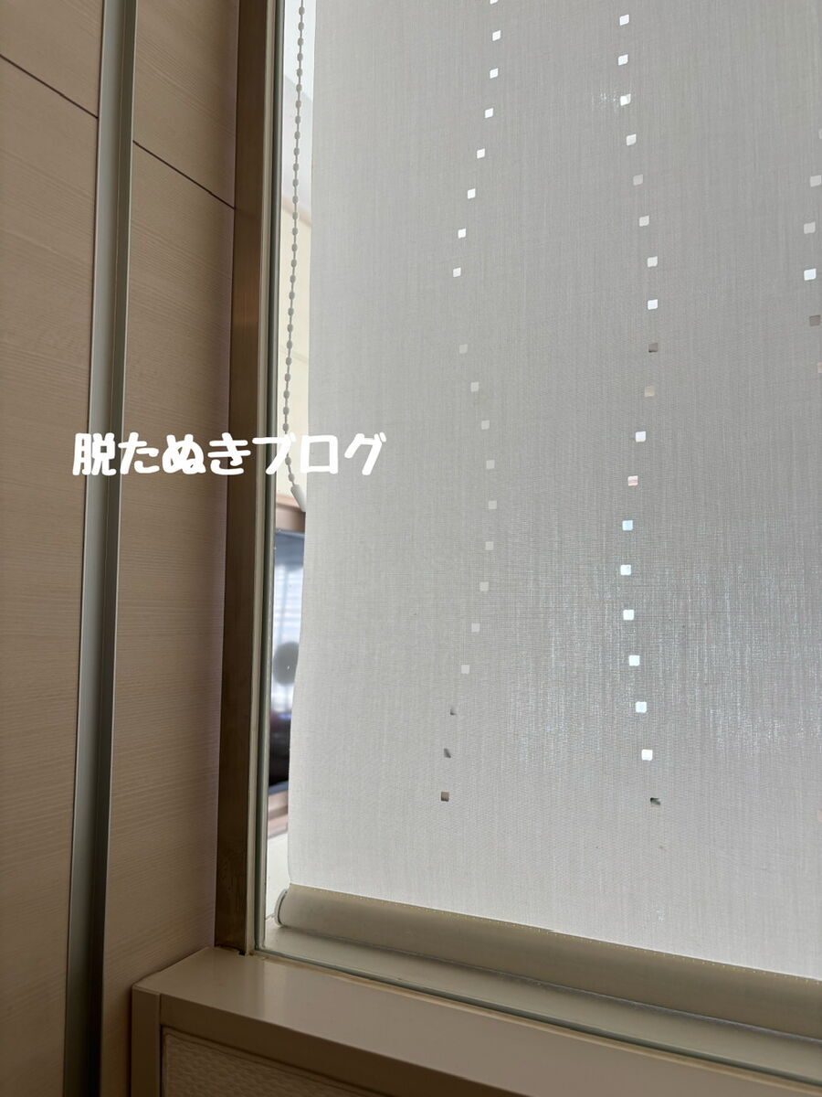 ロールカーテンの端 部屋の様子が見える