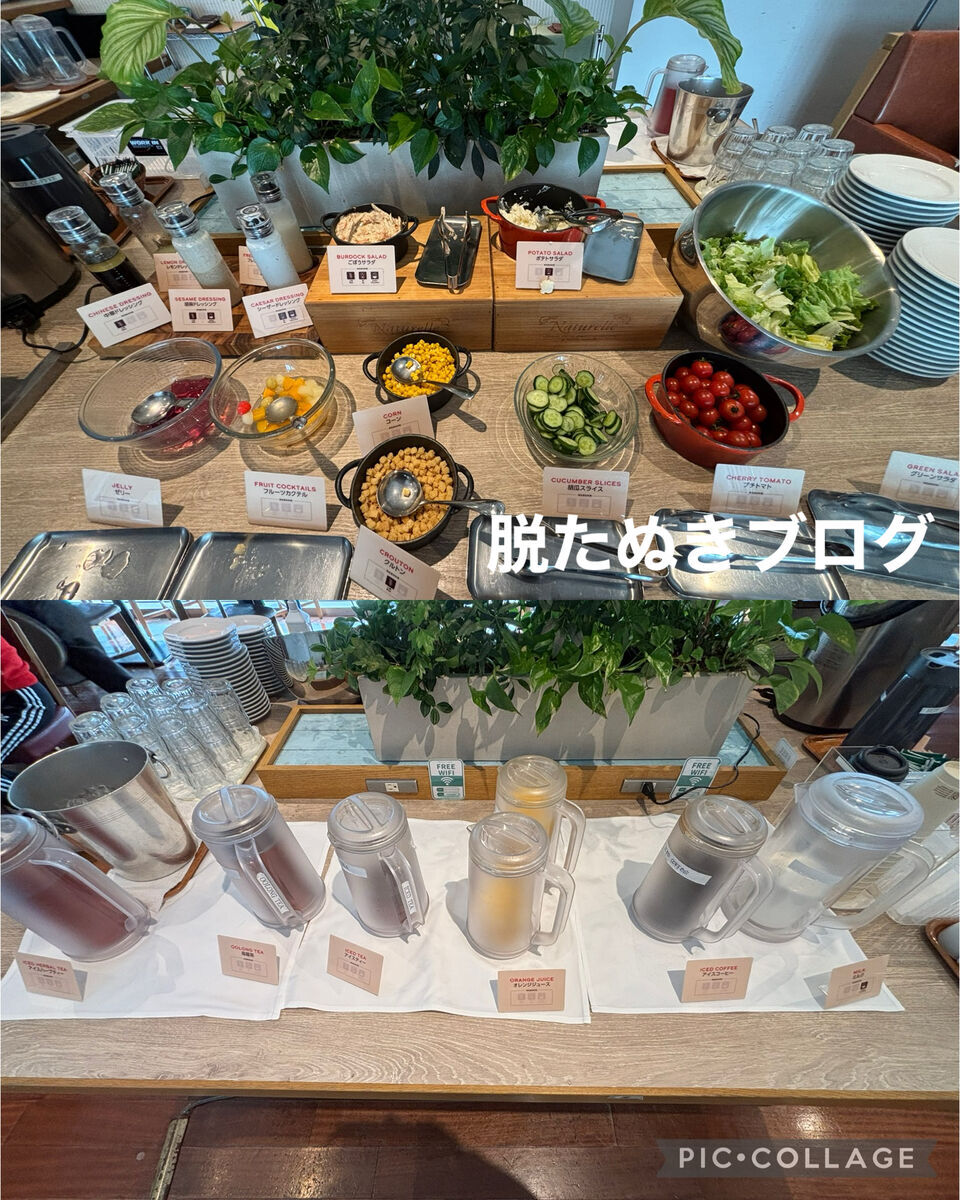 サラダやドリンクの様子