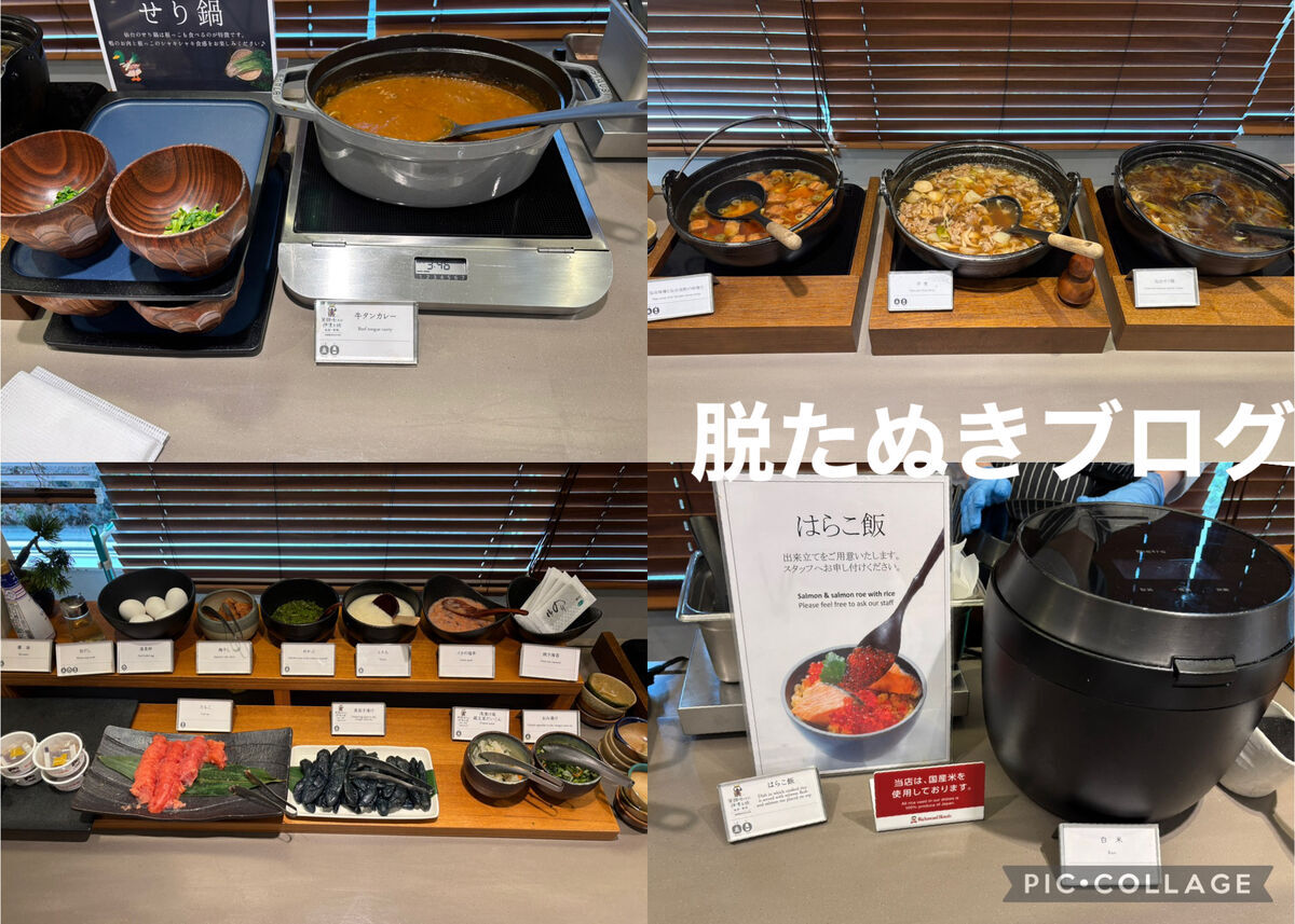 はらこ飯 せり鍋 牛タンカレー