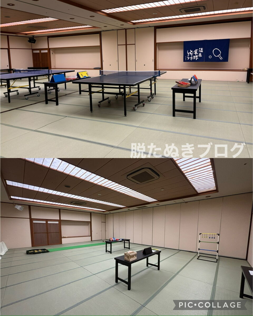 卓球やボッチャ