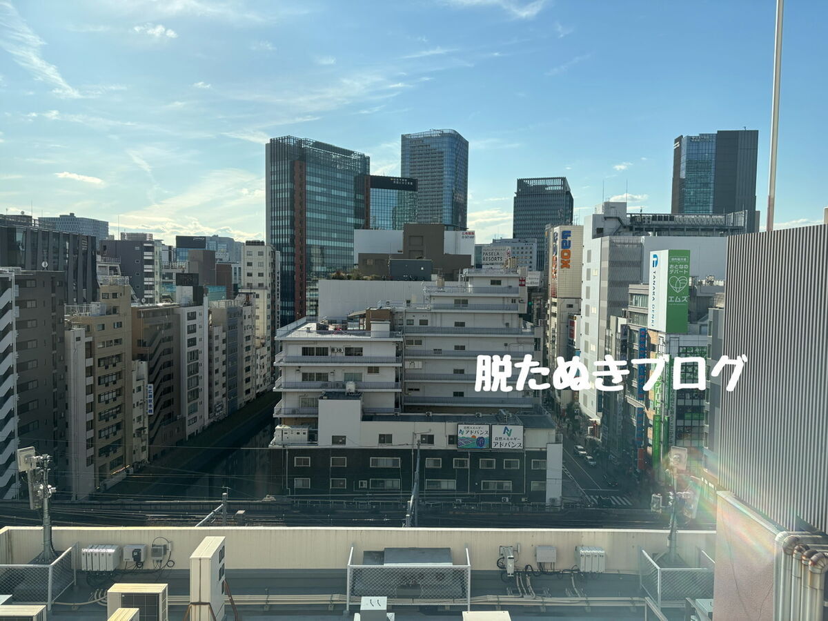 景観は電気街側