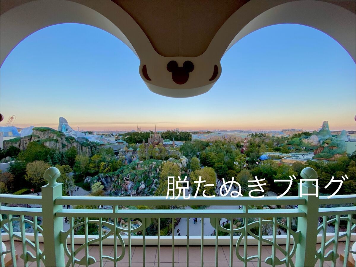 ディズニー グランドシャトー パーク全体が見渡せる眺望