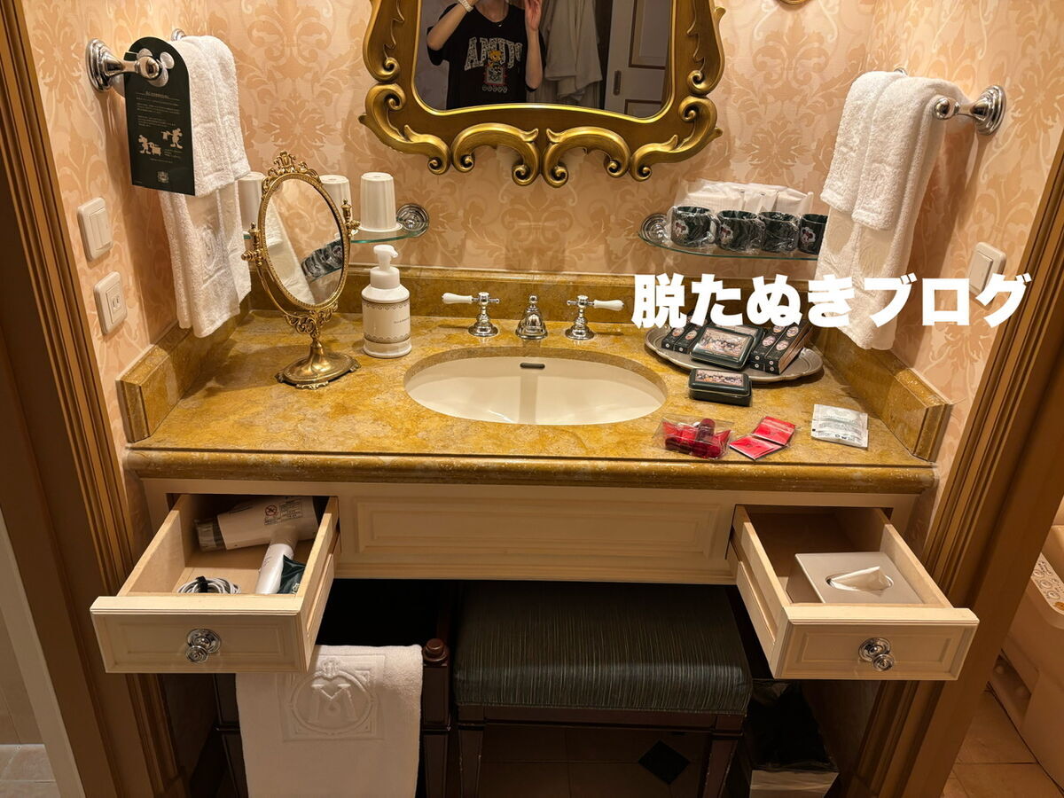 装飾された広々としている洗面台