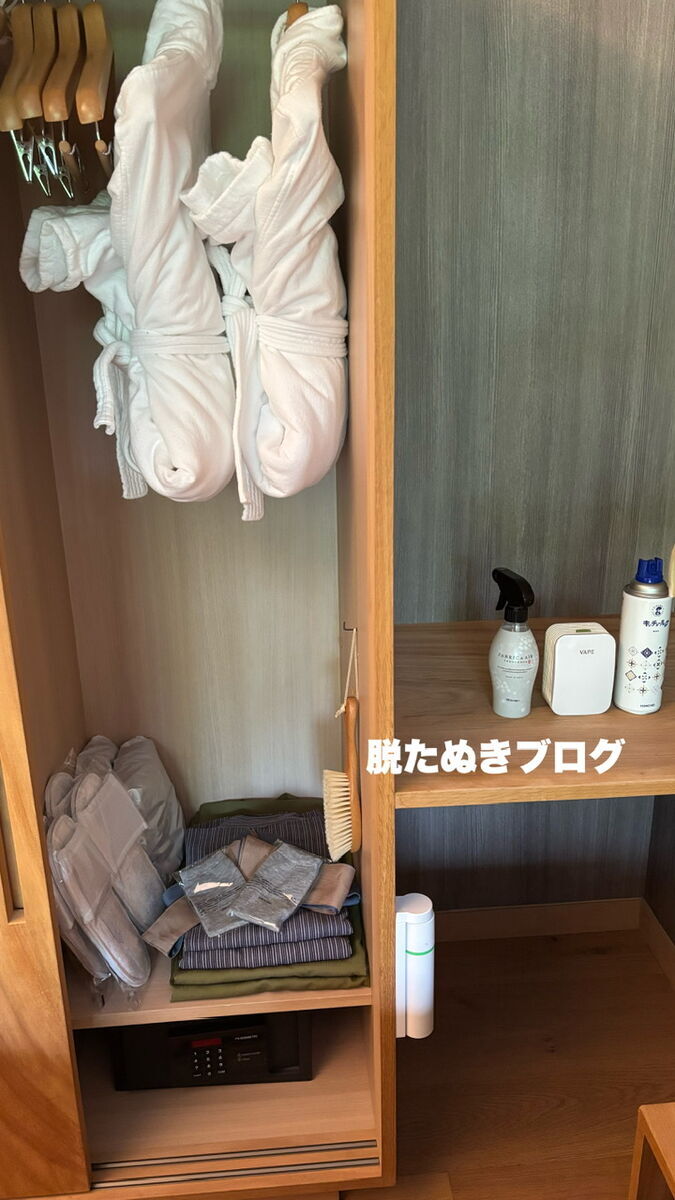 客室内のクローゼット内にある備品