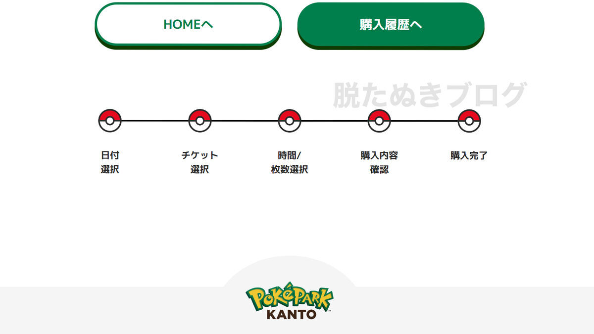 ポケパークカントーのチケット購入までの流れ