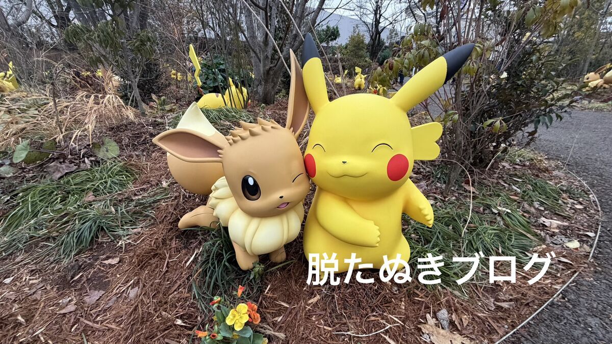 ポケパークカントー内にあるポケモンフォレストで出会えるピカチュウとイーブイ