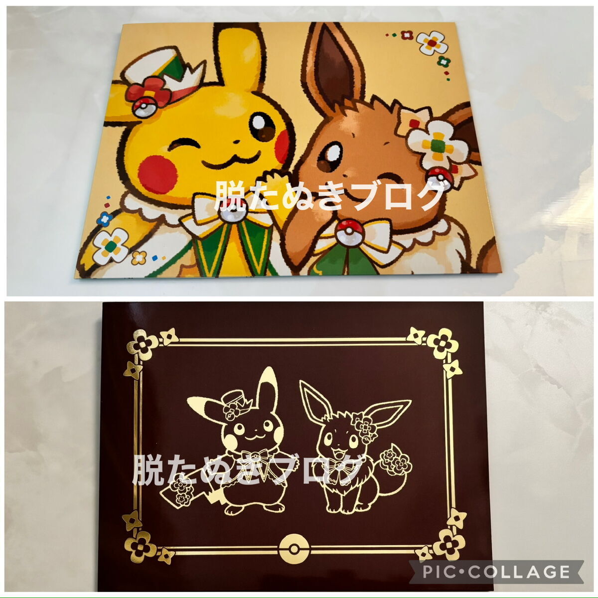 ポケパークカントーで体験できるグリーティング写真を入れる台紙２種類