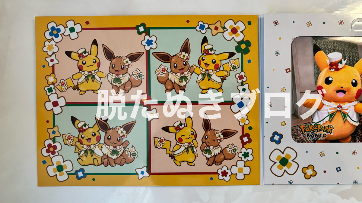 ポケパークカントーで体験できるグリーティング写真を入れる台紙の内装