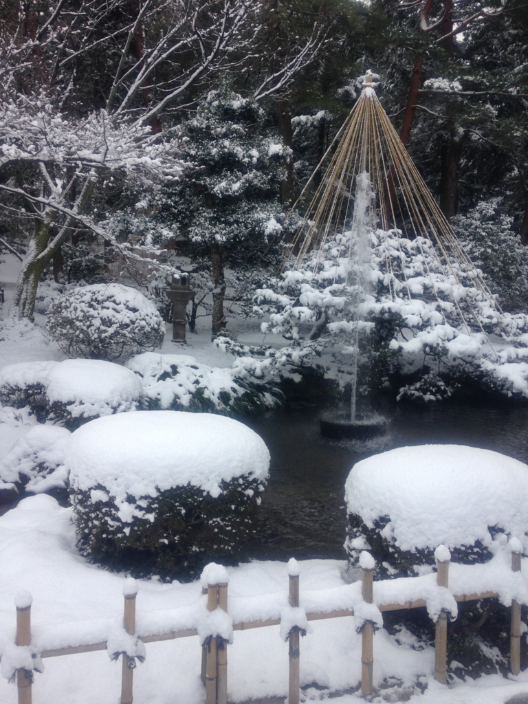 f:id:tanutanutanuko:20170226204312j:plain f:id:tanutanutanuko:20170226204312j:plain