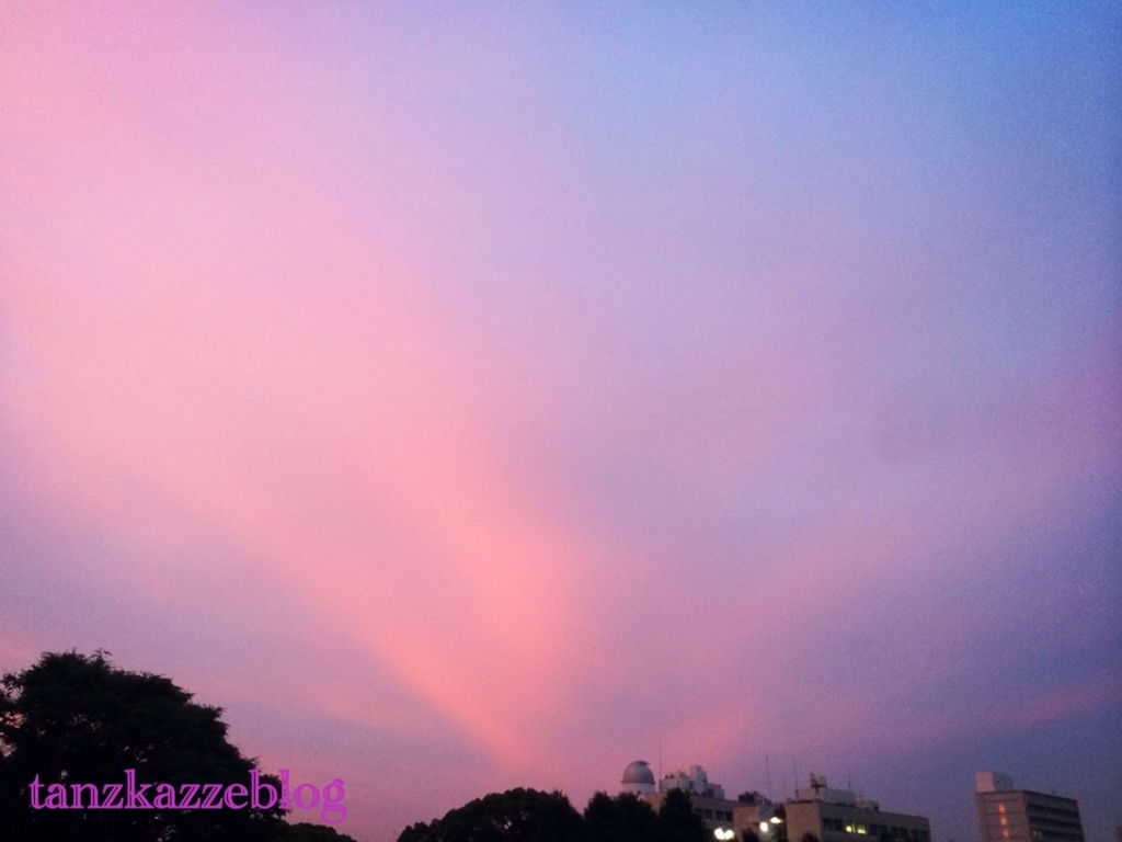 f:id:tanzkazze:20170622194827j:plain