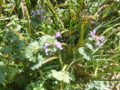 20110412114951