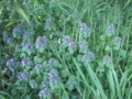 20110417125358