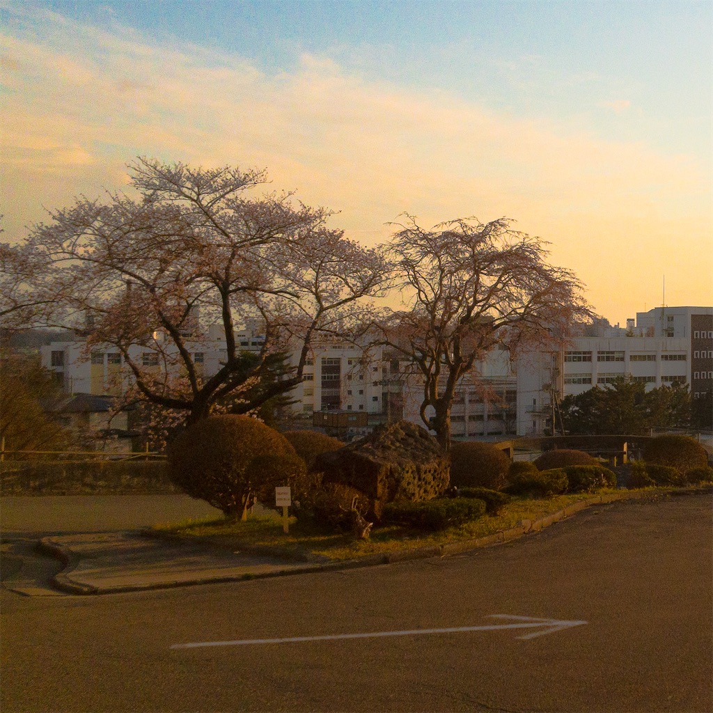 f:id:taocolumn0:20210411112337j:plain