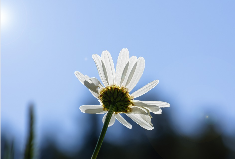 f:id:taoli2010:20210809102003p:plain