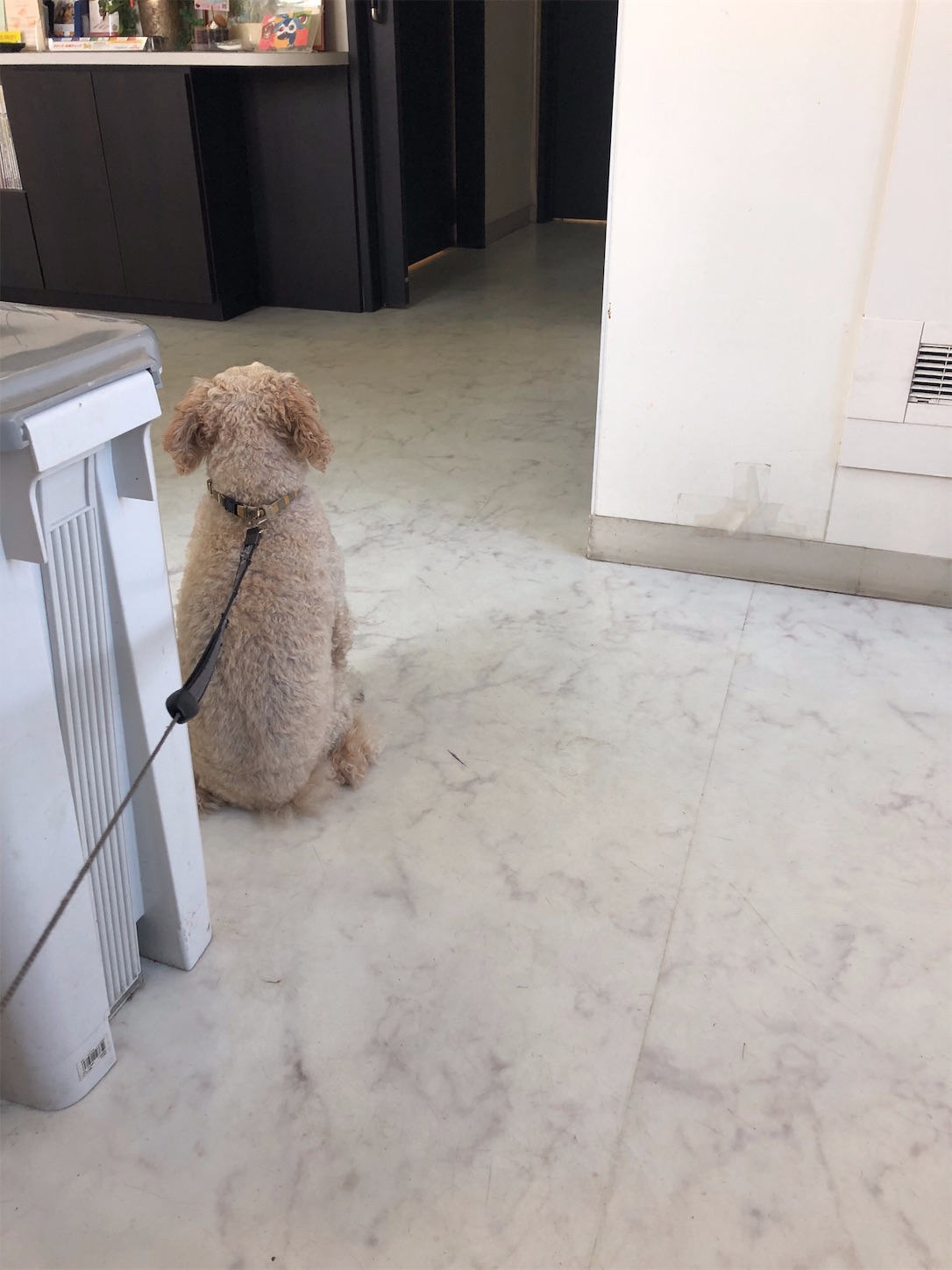 f:id:taonao:20190516221532j:image f:id:taonao:20190516221532j:image