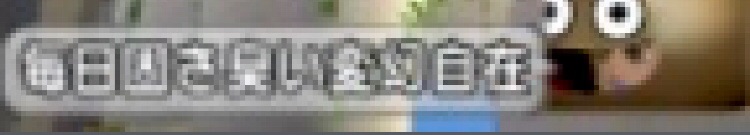 f:id:taorux:20181104014603j:image f:id:taorux:20181104014603j:image