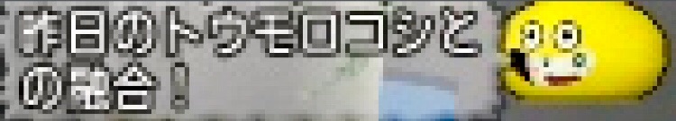 f:id:taorux:20181104014646j:image f:id:taorux:20181104014646j:image