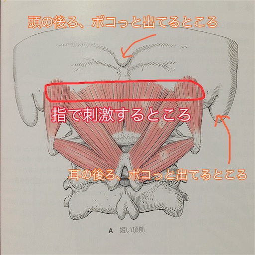 f:id:taoyaka2:20191108000655j:image