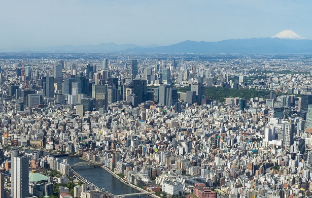 リスク許容度に応じた投資を心がける