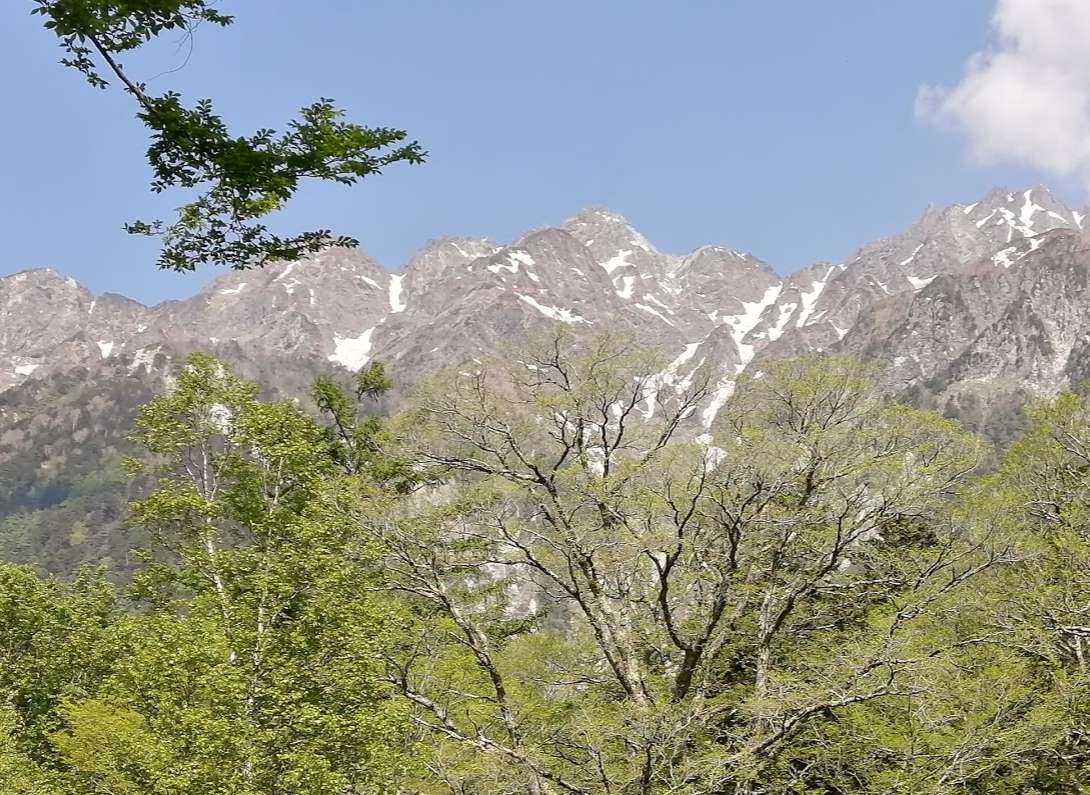 動かざること山のごとし、明日には明日の風が吹く。