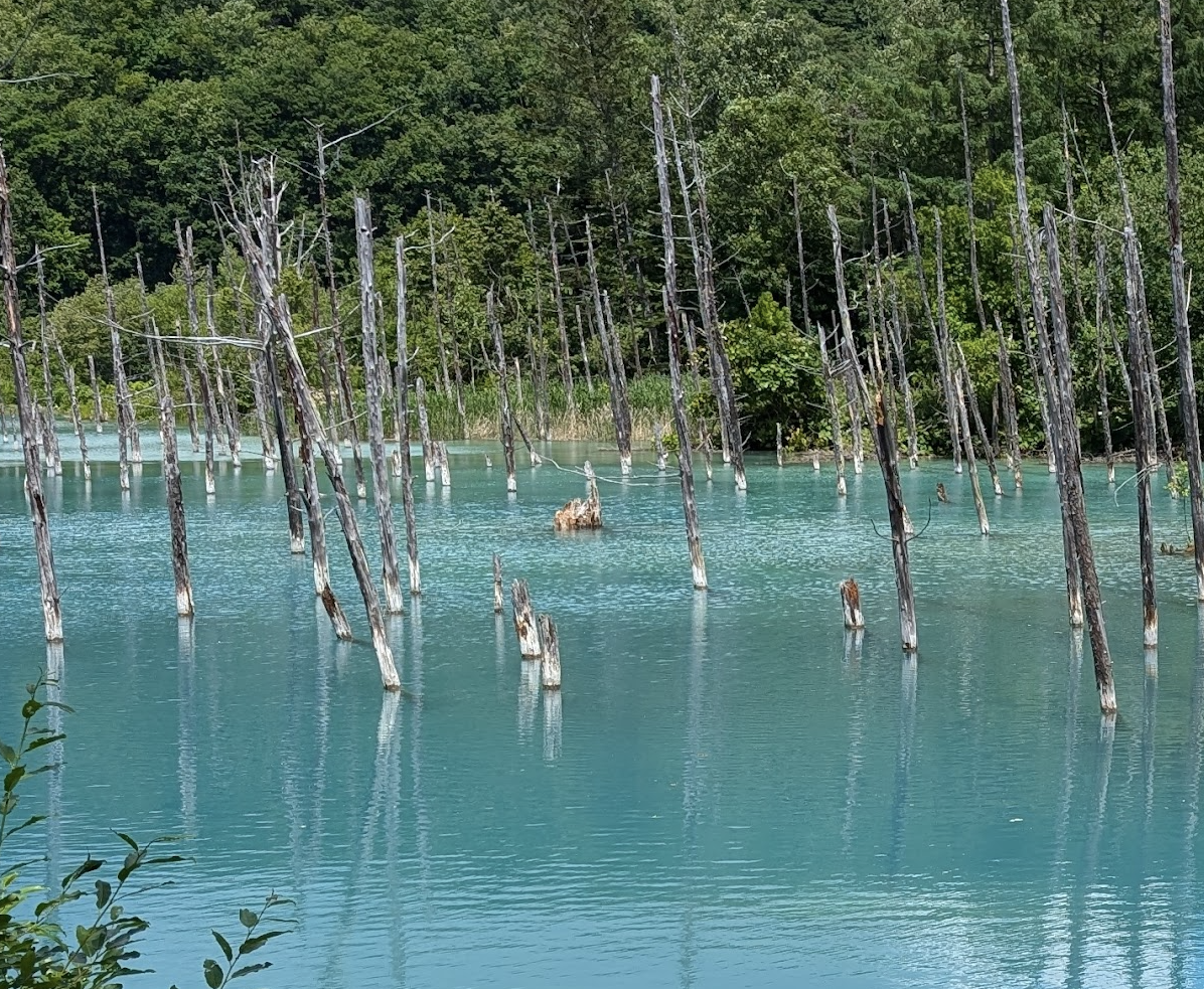 資産運用で初心者が陥りがちな間違いとは
