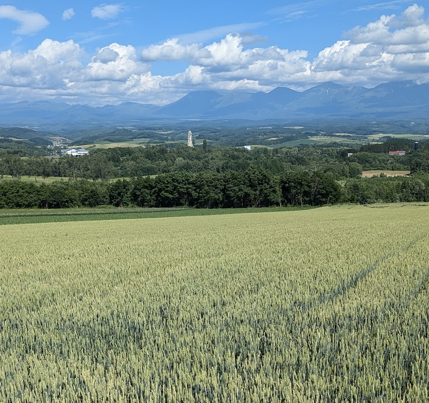 安全資産とリスク資産のバランスをどう考えるか