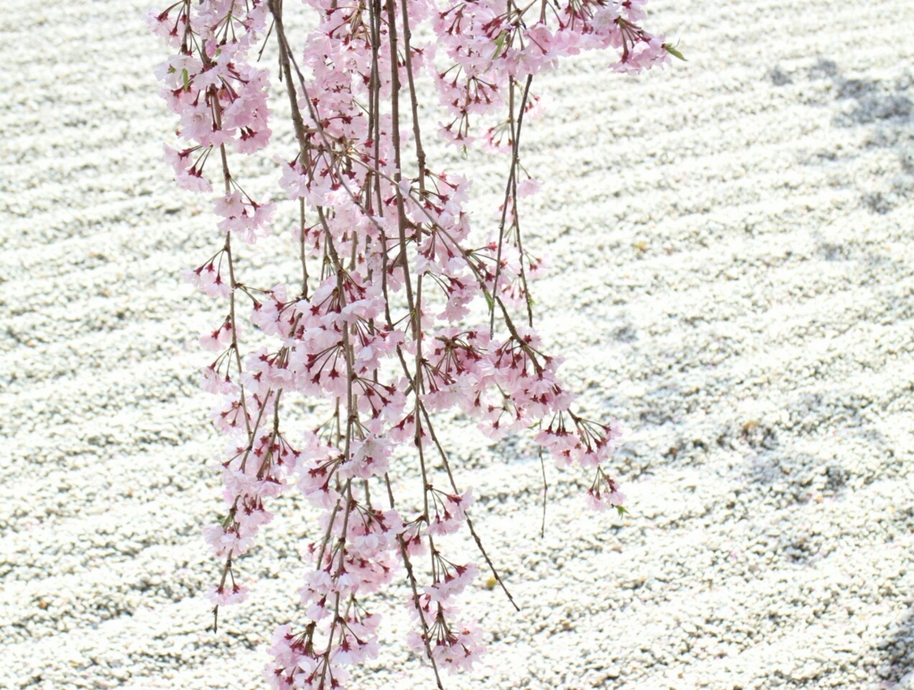 f:id:tapestry0106:20170417110404j:plain f:id:tapestry0106:20170417110404j:plain