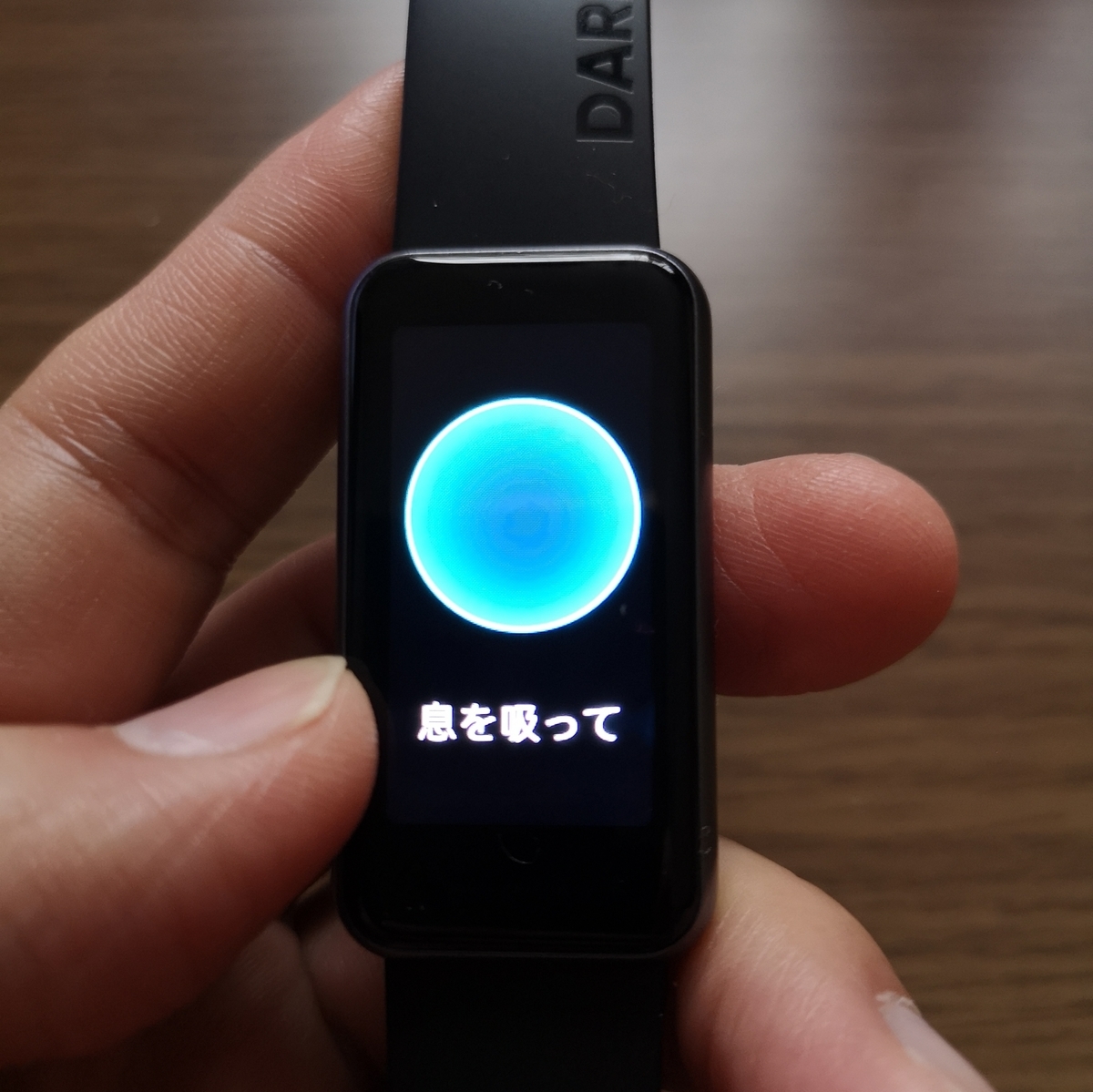 f:id:tapi-smartwatch:20211219143125j:plain