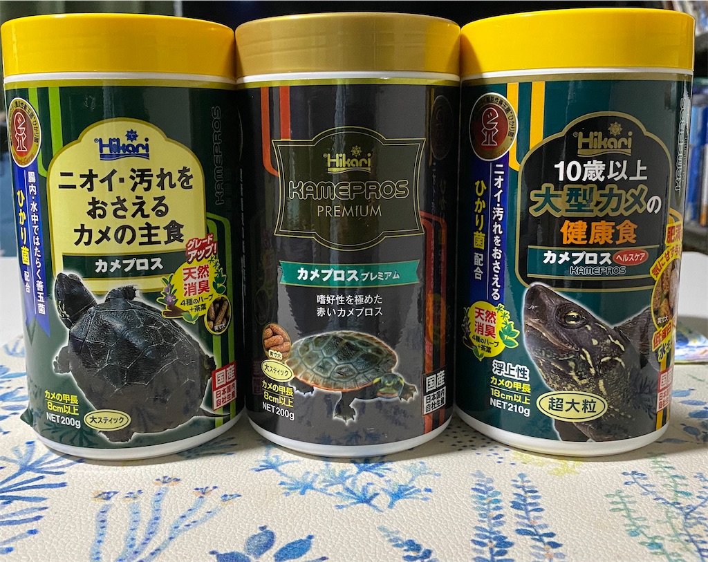 亀の形のスッポン餌装飾品　骨董 新しい餌 - アルビノスッポンの飼育