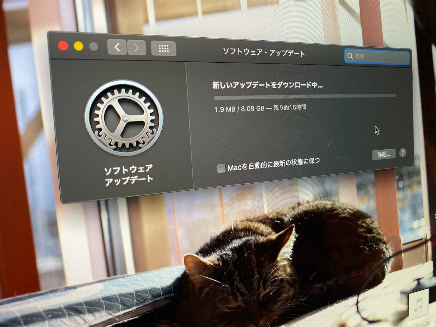 f:id:tapiokasan1090:20191026005146j:image f:id:tapiokasan1090:20191026005146j:image