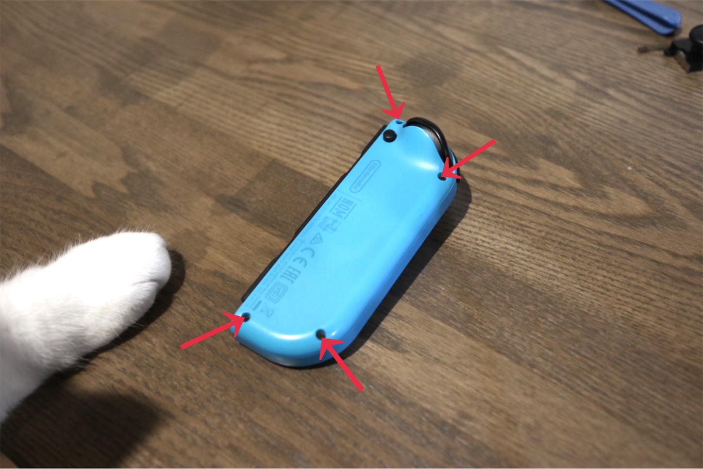 f:id:tapiokasan1090:20191119152753j:image f:id:tapiokasan1090:20191119152753j:image