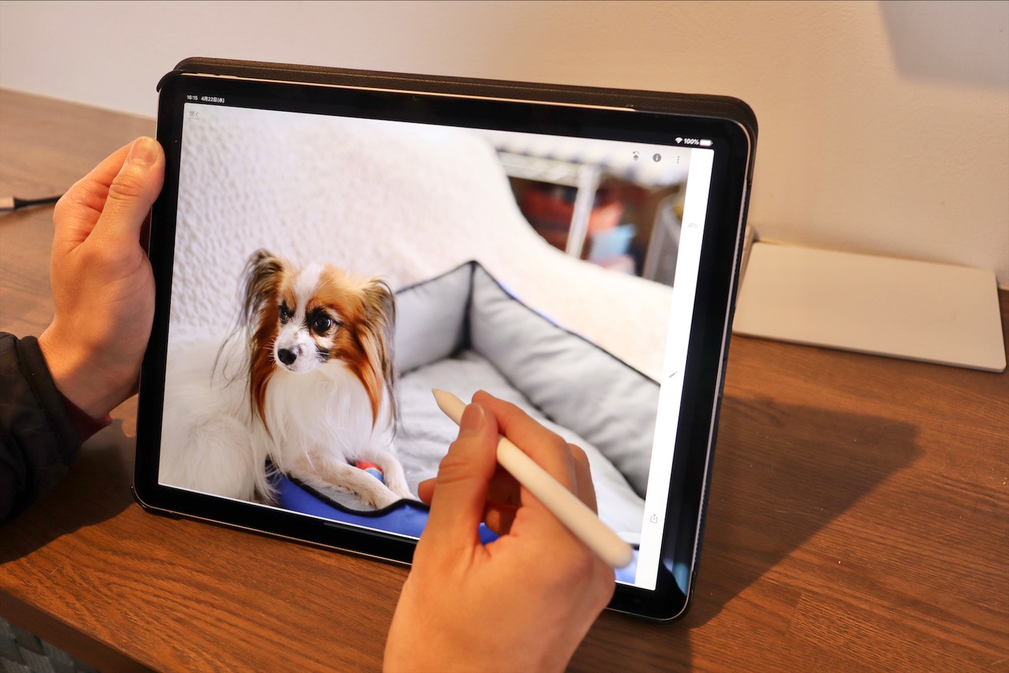 f:id:tapiokasan1090:20200509150304j:image f:id:tapiokasan1090:20200509150304j:image