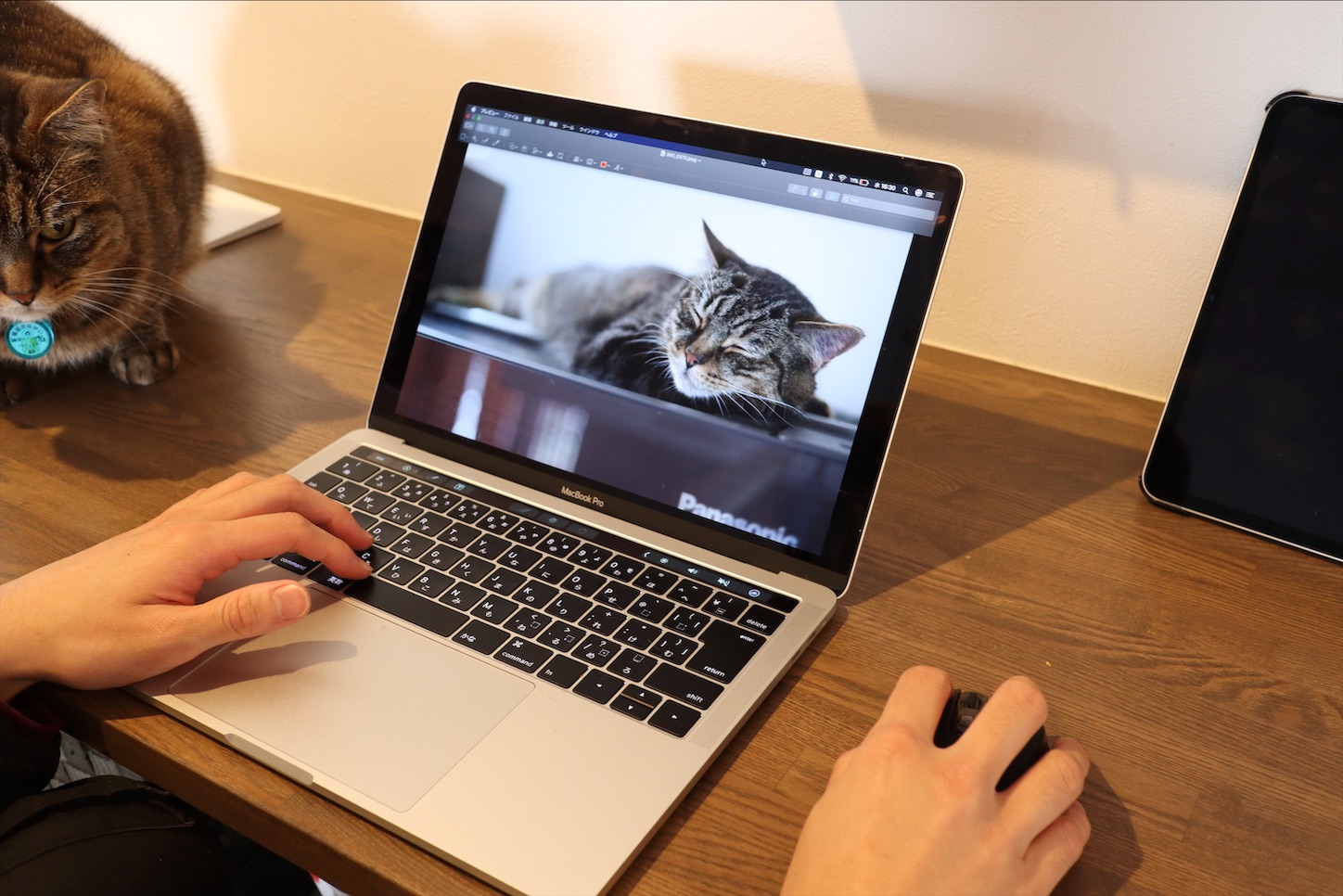 f:id:tapiokasan1090:20200509150420j:image f:id:tapiokasan1090:20200509150420j:image