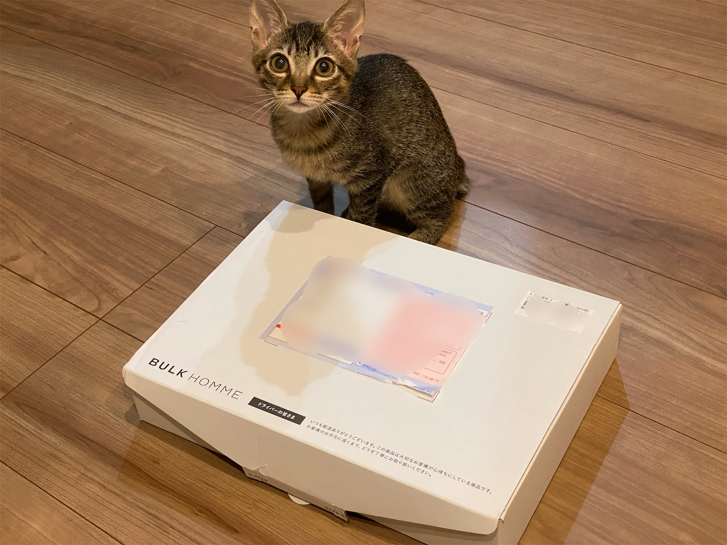 f:id:tapiokasan1090:20200911220148p:image f:id:tapiokasan1090:20200911220148p:image