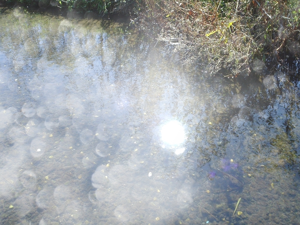 f:id:tapirhut:20190309001730j:plain