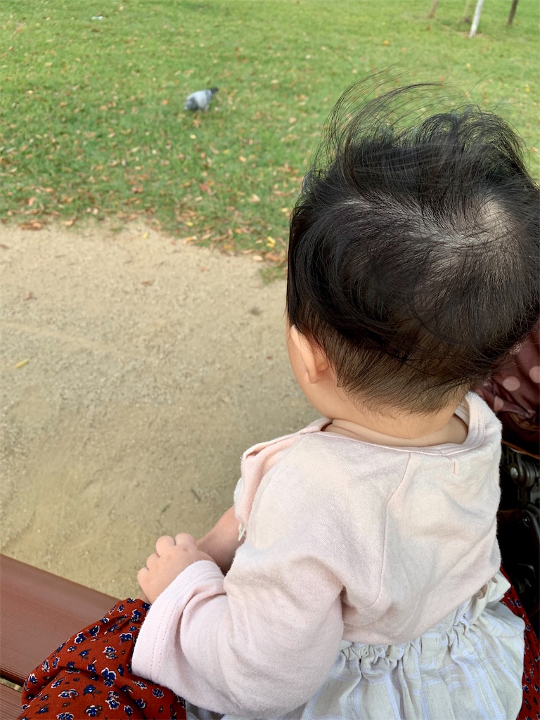 f:id:tapntapn:20191014120810j:image f:id:tapntapn:20191014120810j:image