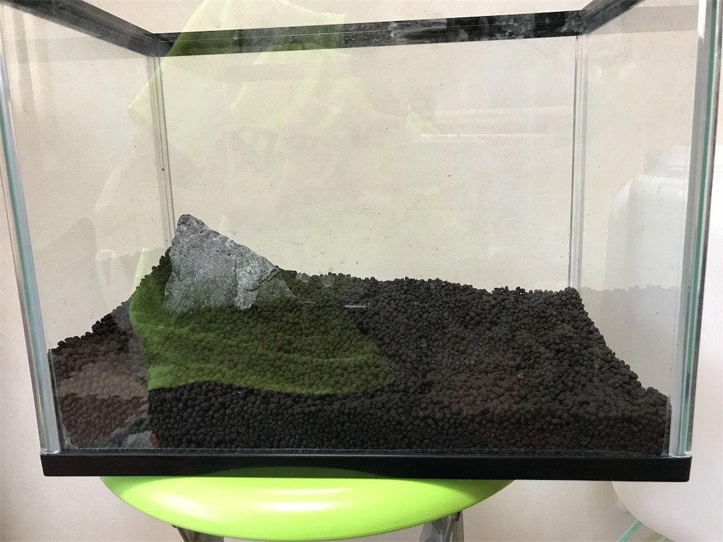 水草絨毯チャレンジ いたたかの水辺
