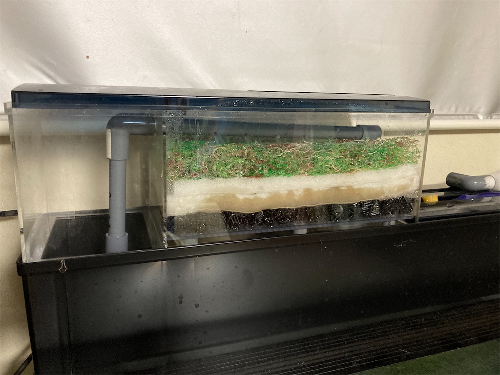 f:id:tappi-aq:20220209212951j:image