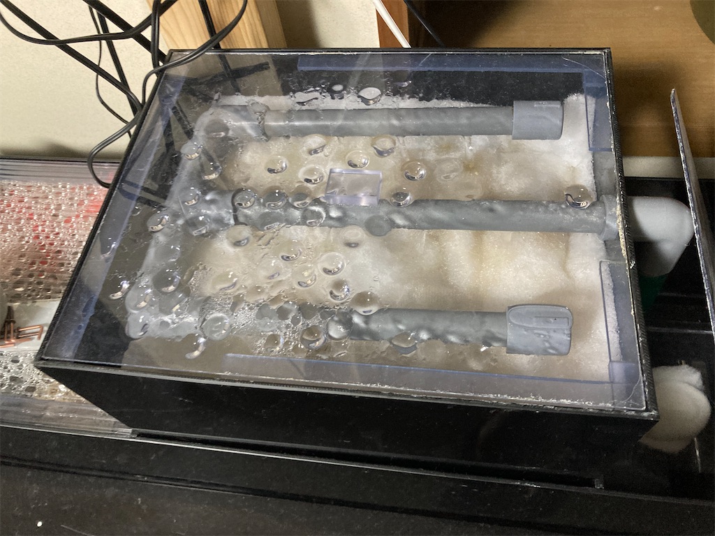 f:id:tappi-aq:20220209213145j:image