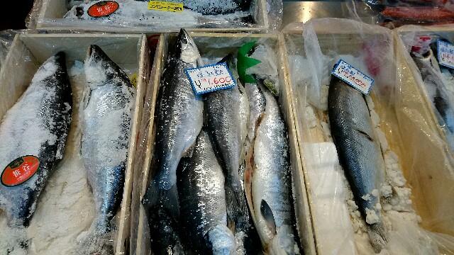 f:id:taq-miler:20170204155617j:plain f:id:taq-miler:20170204155617j:plain