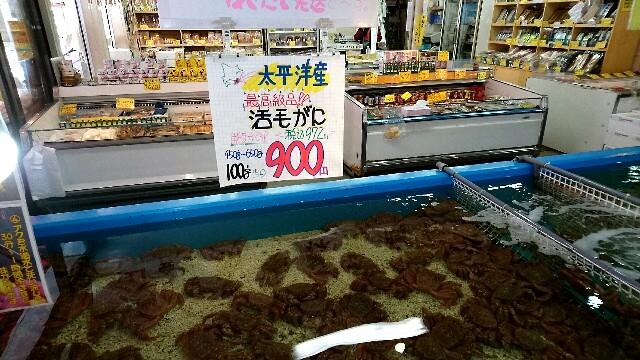f:id:taq-miler:20170204160205j:plain f:id:taq-miler:20170204160205j:plain