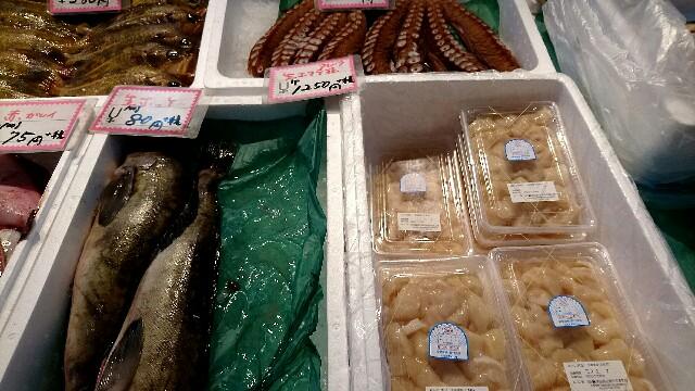 f:id:taq-miler:20170204161220j:plain f:id:taq-miler:20170204161220j:plain