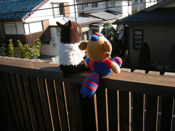 f:id:taquai:20091220140038j:image:left