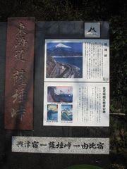 フォト