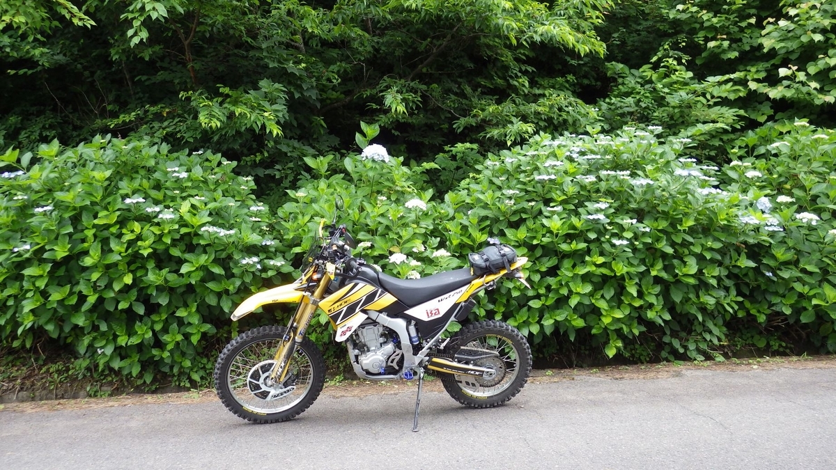 f:id:tara-bike:20200703212843j:plain f:id:tara-bike:20200703212843j:plain