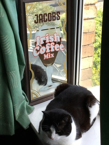 f:id:tarafuku10:20200423235556j:plain f:id:tarafuku10:20200423235556j:plain