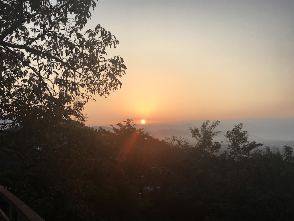 f:id:tarakocheese:20181118233114j:image
