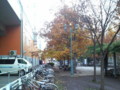 20081113073200